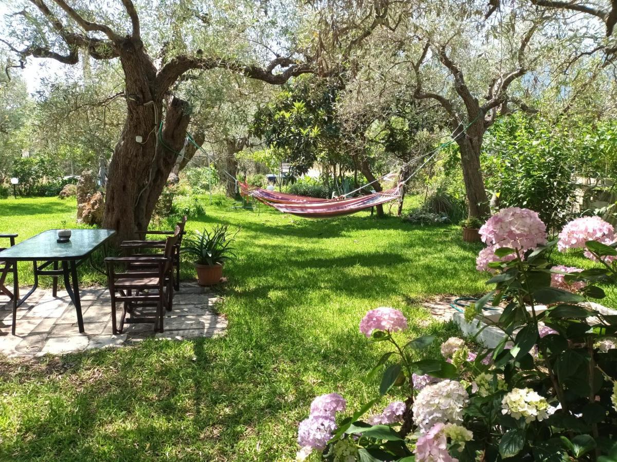 Olive Garden Villas And Apartments Chrysi Ammoudia Bilik gambar