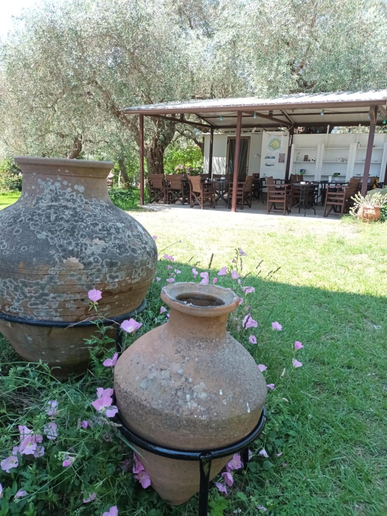 Olive Garden Villas And Apartments Chrysi Ammoudia Bilik gambar