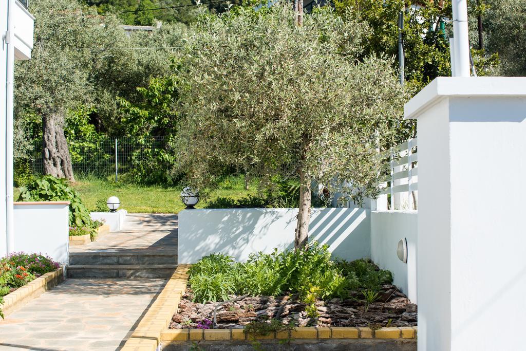 Olive Garden Villas And Apartments Chrysi Ammoudia Luaran gambar